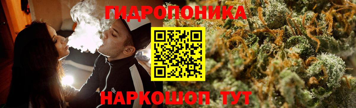 Канабис сатива Заринск